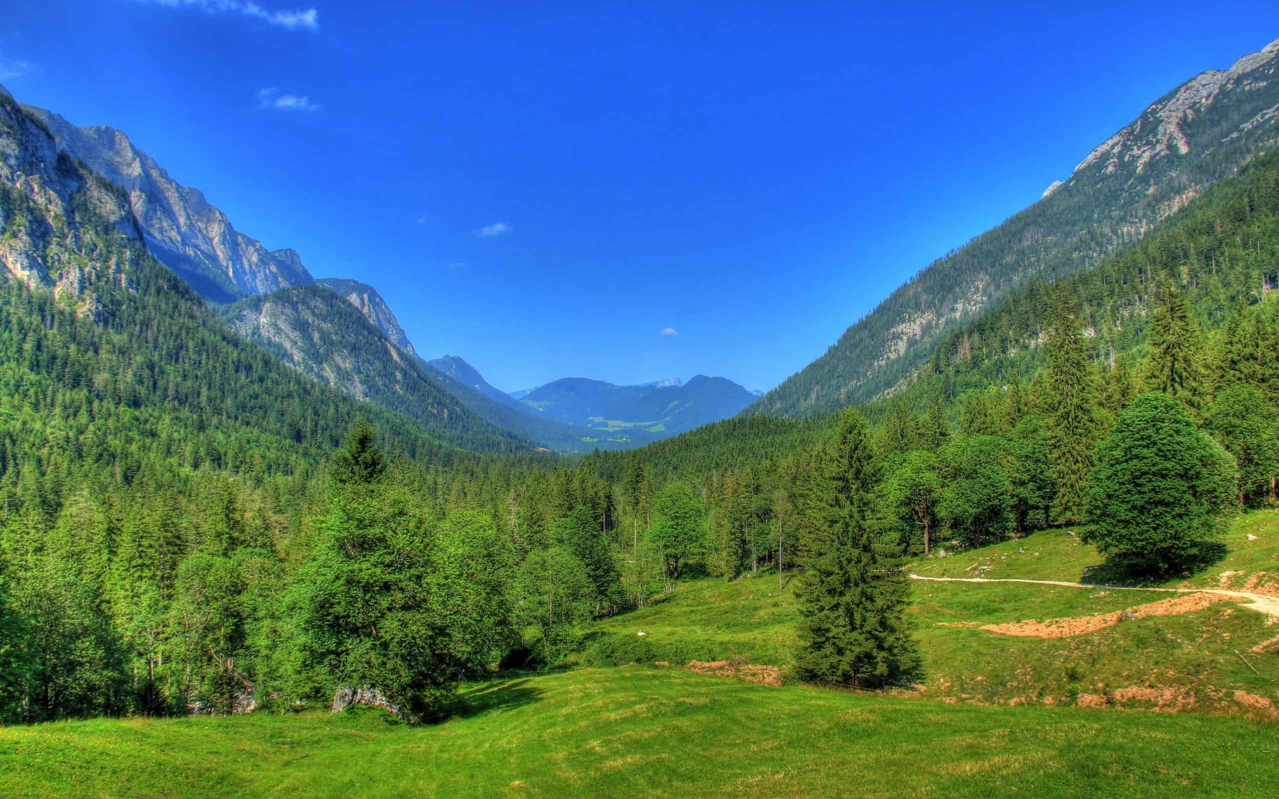 Germany-Bavaria-nature-landscape-mountains-forest-trees-blue-sky_2560x1600